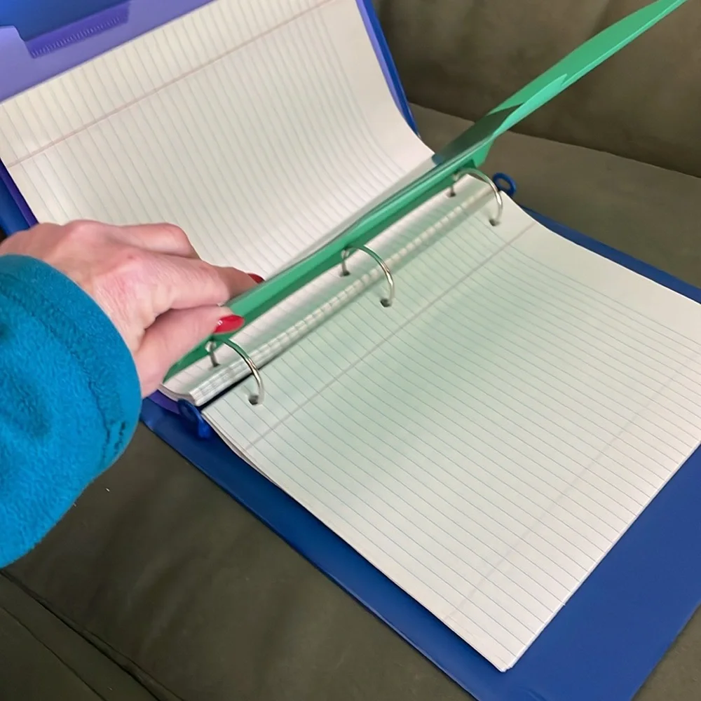 Blue and Purple File Organizer